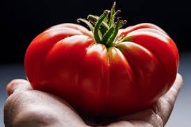 Giant Heirloom Beefsteak Tomato Seeds – Heirloom Seeds