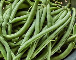Blue Lake Heirloom Bush Beans – Heirloom Seeds