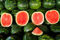 Crimson Sweet Heirloom Watermelon Seeds – Heirloom Seeds