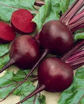 Detroit Dark Red Heirloom Beet Seeds – Heirloom Seeds