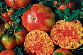Hillbilly Bi-Color Heirloom Tomato Seeds – Heirloom Seeds