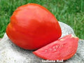 Indiana Red Heritage Tomato Seeds