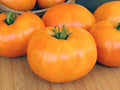 Golden Orange Kellogg’s Breakfast Tomato Seeds