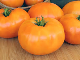 Golden Orange Kellogg’s Breakfast Tomato Seeds