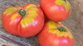 Rare Lehrertomate Heirloom Tomato Seeds – Heirloom Seeds