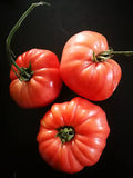 McNally Pink Beef Heart Heirloom Seeds – Heirloom Seeds