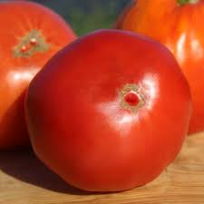 Pepe Gigante Italian Heirloom Tomato Seeds – Heirloom Seeds