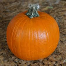 Sweet Heirloom Sugar Pie Pumpkin Seeds – Heirloom Seeds