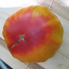 Striped German Heirloom Beefsteak Tomato Seeds – Heirloom Seeds