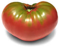 Stump of the World Heirloom Tomato Seeds – Heirloom Seeds