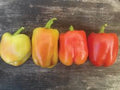 Heirloom Bell Pepper Medley
