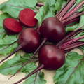 Detroit Dark Red Heirloom Beet