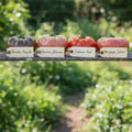 Heirloom Beefsteak Tomato Variety Pack Seeds