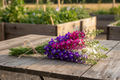 Mixed rocket larkspur bundle tied with twine on rustic wooden table