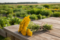 Gold yarrow bundle tied with twine on rustic wooden table