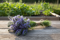Lacy Phacelia bundle with twine