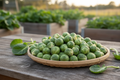 Long Island Improved Brussels Sprouts Harvest Basket
