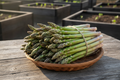 Mary Washington Asparagus Harvest Basket