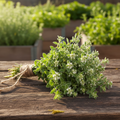 Sweet Marjoram Harvest Bundle